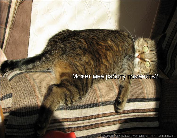 Котоматрица: Может мне работу поменять?