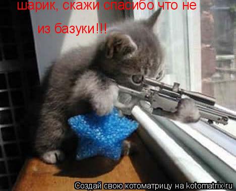 Котоматрица: шарик, скажи спасибо что не из базуки !!!