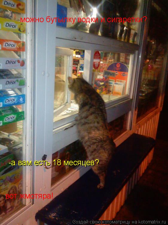 Котоматрица: можно бутылку водки и сигаретки? -а вам есть 18 месяцев? вот жмотяра!