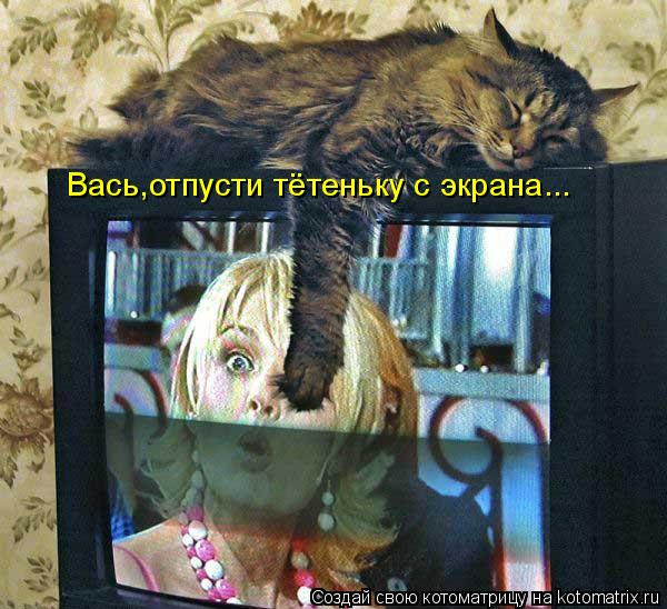Котоматрица: Вась,отпусти тётеньку с экрана...