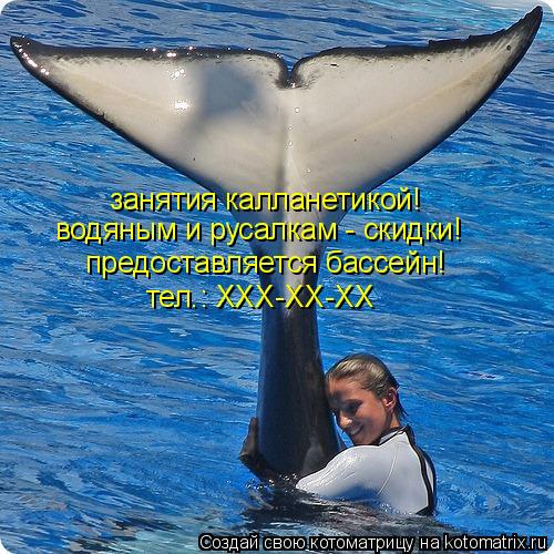 Котоматрица: занятия калланетикой! водяным и русалкам - скидки! предоставляется бассейн! тел.: ХХХ-ХХ-ХХ