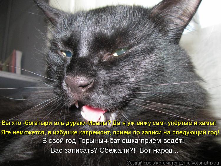 Котоматрица: Яге неможется, в избушке капремонт, прием по записи на следующий год! Вы хто -богатыри аль дураки-Иваны? Да я уж вижу сам- упёртые и хамы! Вас з
