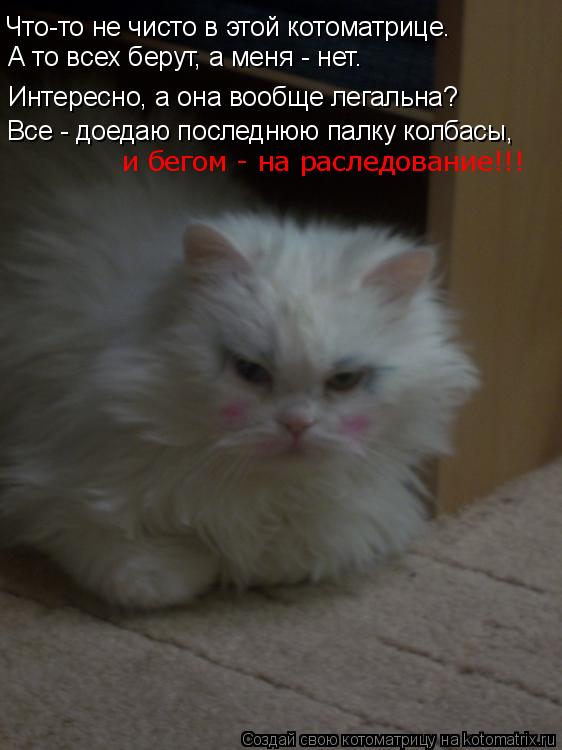 Котоматрица: А то всех берут, а меня - нет. Интересно, а она вообще легальна? Что-то не чисто в этой котоматрице. Все - доедаю последнюю палку колбасы, и бего