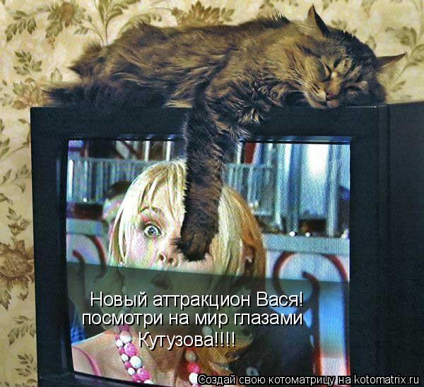 Котоматрица: Новый аттракцион Вася! посмотри на мир глазами Кутузова!!!!