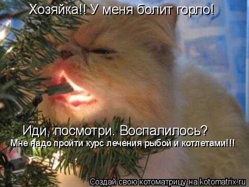 Котоматрица: Хозяйка!! У меня болит горло! Иди, посмотри. Воспалилось? Мне надо пройти курс лечения рыбой и котлетами!!!
