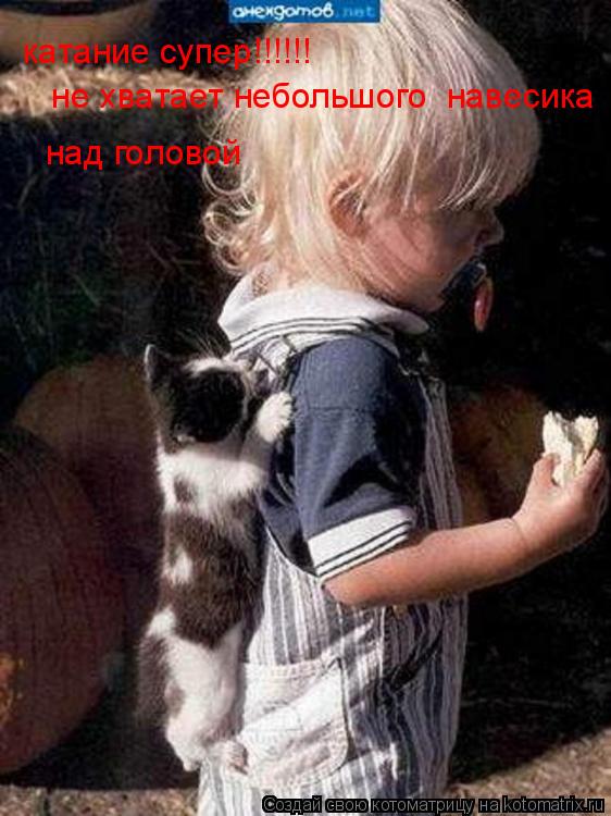 Котоматрица: катание супер!!!!!!  не хватает небольшого  навесика над головой