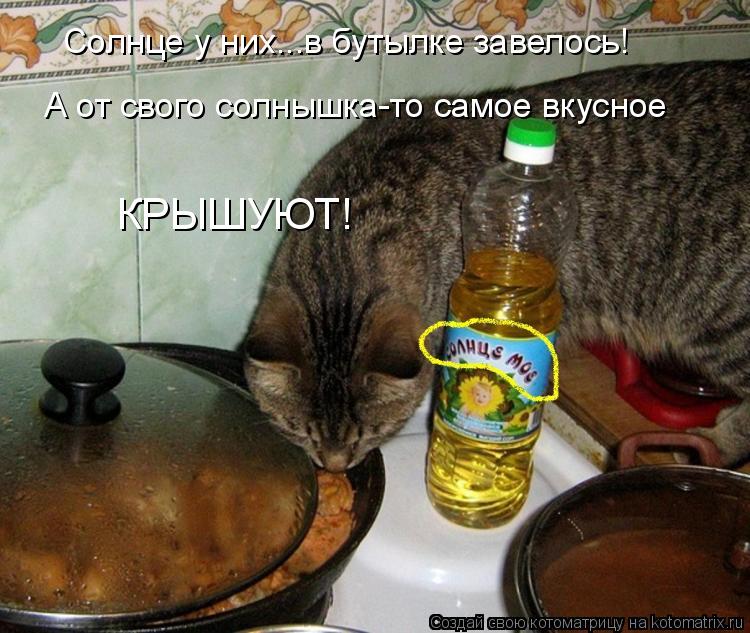 Котоматрица: Солнце у них...в бутылке завелось! А от свого солнышка-то самое вкусное  КРЫШУЮТ!