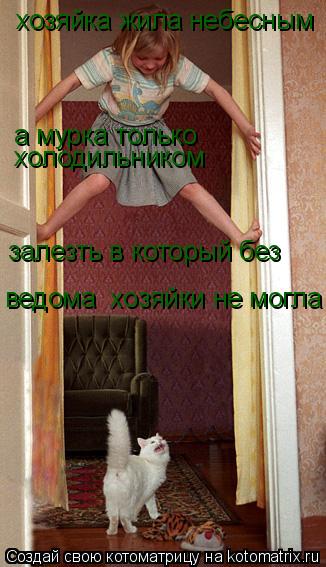 Котоматрица: хозяйка жила небесным а мурка только   холодильником залезть в который без ведома  хозяйки не могла