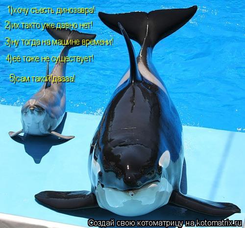 Котоматрица: 1)хочу съесть динозавра! 2)их такто уже давно нет! 3)ну тогда на машине времени! 4)её тоже не существует! 5)сам такой!даааа!