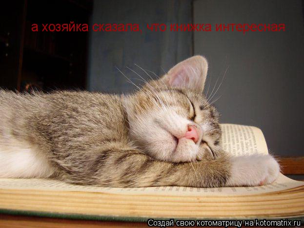 Котоматрица: а xозяйка сказала, что книжка интересная