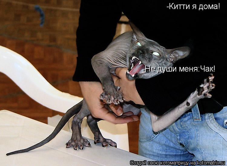 Котоматрица: -Китти я дома! -Не души меня:Чак!