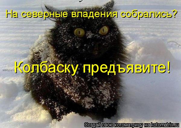 Котоматрица: На северные владения собрались? Колбаску предъявите!