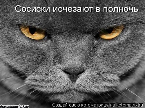 Котоматрица: Сосиски исчезают в полночь