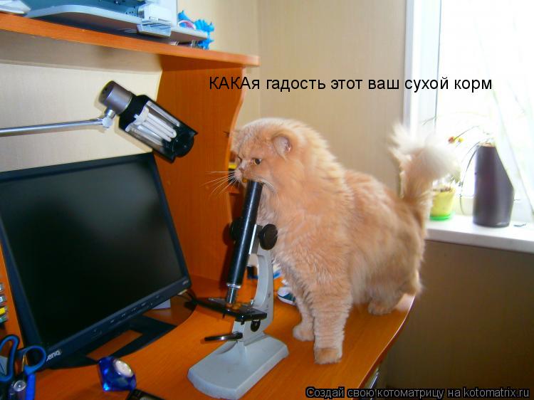 Котоматрица: КАКАя гадость этот ваш сухой корм