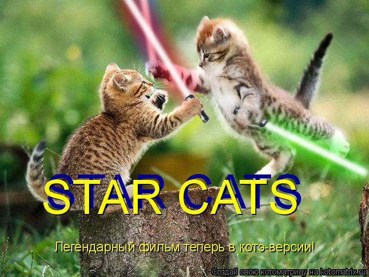 Котоматрица: Легендарный фильм теперь в котэ-версии!  STAR CATS STAR CATS