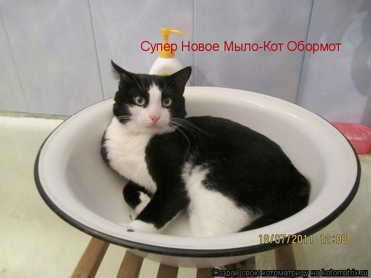 Котоматрица: Супер Новое Мыло-Кот Обормот
