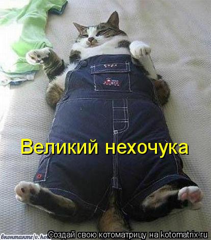 Котоматрица: Великий нехочука