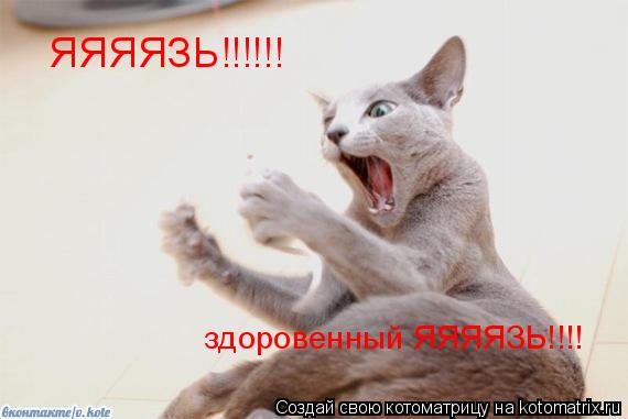 Котоматрица: ЯЯЯЯЗЬ!!!!!! здоровенный ЯЯЯЯЗЬ!!!!