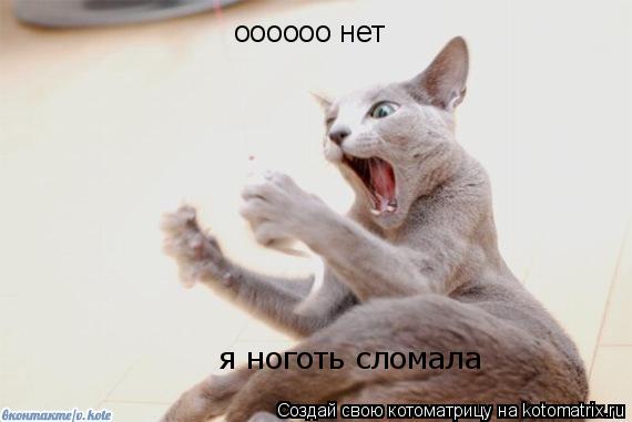 Котоматрица: оооооо нет я ноготь сломала