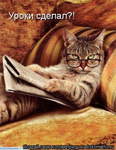 Котоматрица: Уроки сделал?!