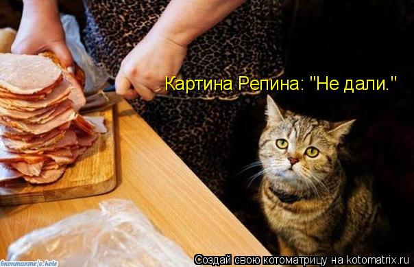 Котоматрица: Картина Репина: "Не дали."