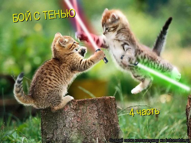 Котоматрица: БОЙ С ТЕНЬЮ БОЙ С ТЕНЬЮ 4 часть 4 часть