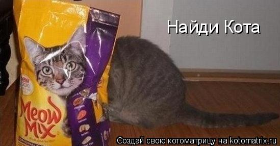 Котоматрица: Найди Кота