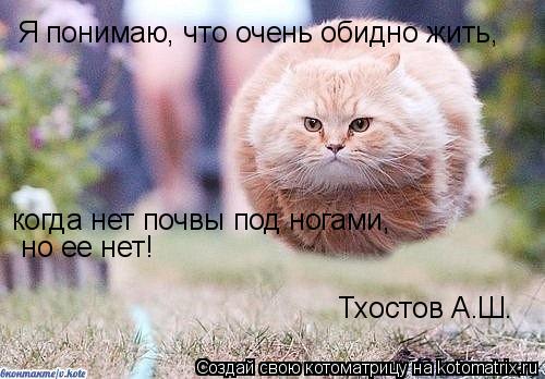 Я понимаю, что очень обидно жить, когда нет почвы под ногами, но ее нет! Тхостов А.Ш.... Котоматрица: Я понимаю, что очень обидно жить, когда нет почвы под ногами, но ее нет! Тхостов А.Ш.