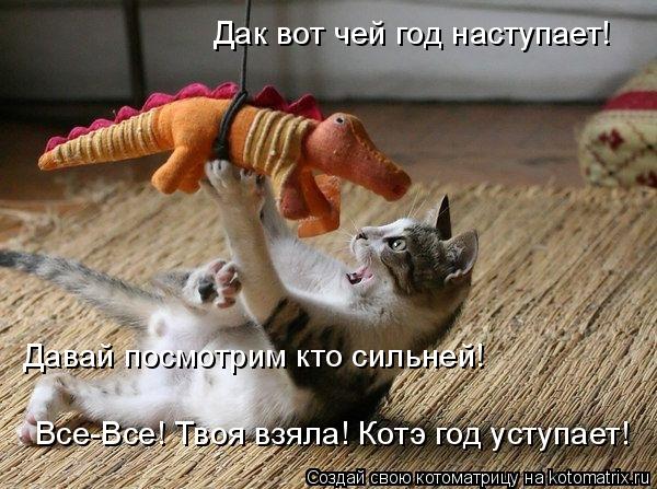 Котоматрица: Дак вот чей год наступает! Давай посмотрим кто сильней! Все-Все! Твоя взяла! Котэ год уступает!