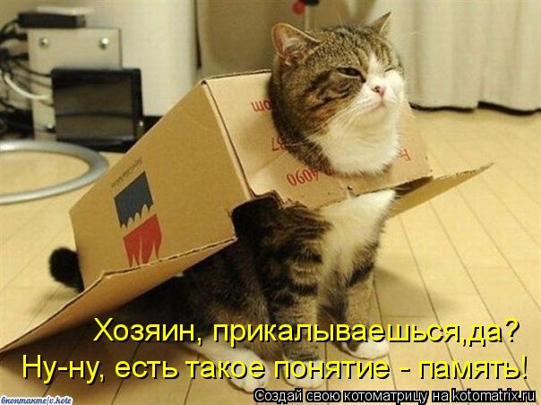 Котоматрица: Хозяин, прикалываешься,да? Ну-ну, есть такое понятие - память!