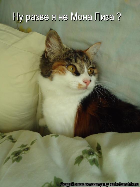 Котоматрица: Ну разве я не Мона Лиза ?