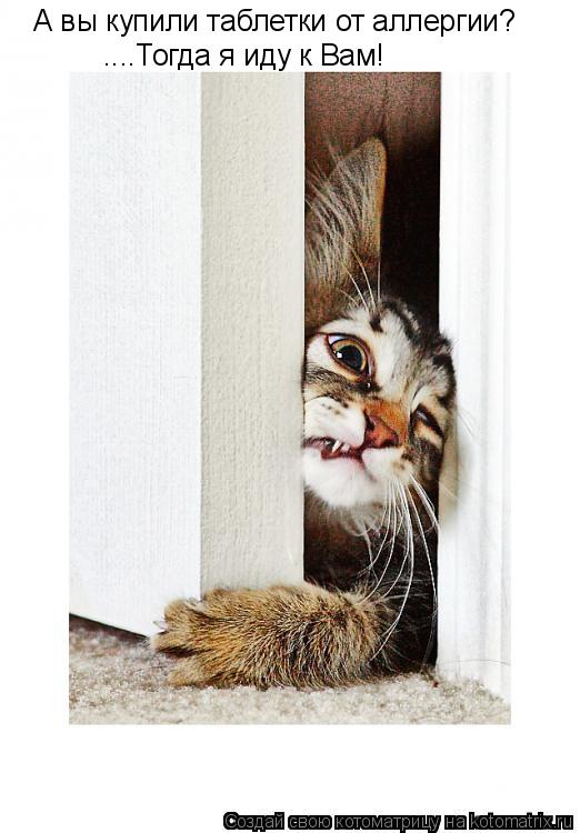 Котоматрица: А вы купили таблетки от аллергии?  ....Тогда я иду к Вам!