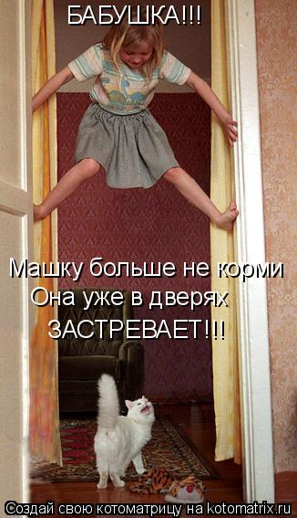 БАБУШКА!!! Машку больше не корми Она уже в дверях ЗАСТРЕВАЕТ!!!... Котоматрица: БАБУШКА!!! Машку больше не корми Она уже в дверях ЗАСТРЕВАЕТ!!!