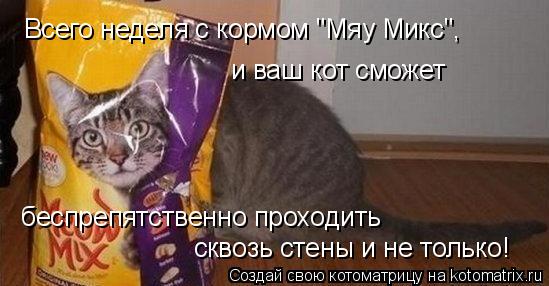 Всего неделя с кормом "Мяу Микс", и ваш кот сможет беспрепятственно проходить сквозь стены и не тол... Котоматрица: Всего неделя с кормом "Мяу Микс", и ваш кот сможет беспрепятственно проходить сквозь стены и не только!
