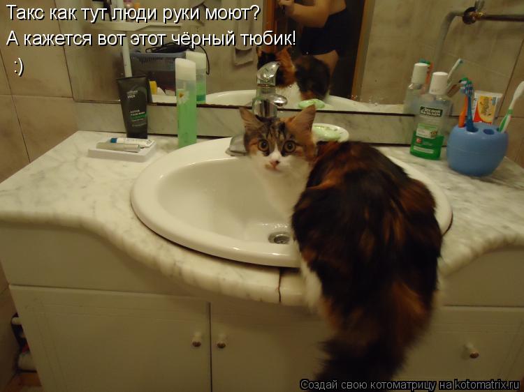 Котоматрица: Такс как тут люди руки моют? А кажется вот этот чёрный тюбик! :)