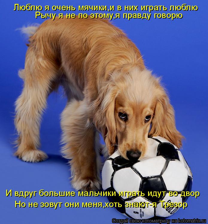 Котоматрица: Люблю я очень мячики,и в них играть люблю Рычу я не по этому,я правду говорю И вдруг большие мальчики играть идут во двор Но не зовут они меня