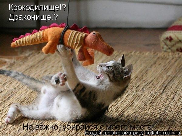 Котоматрица: Крокодилище!? Драконище!? Не важно, убирайся с моего места!