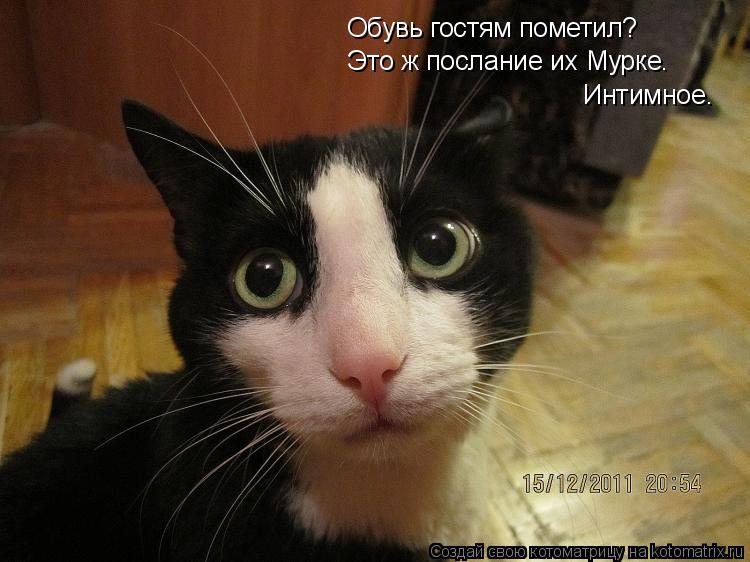 Котоматрица: Обувь гостям пометил? Это ж послание их Мурке. Интимное.