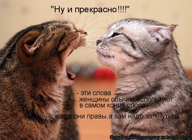 Котоматрица: "Ну и прекрасно!!!!"     - эти слова    женщины обычно используют в самом конце спора – когда они правы,а вам надо заткнуться