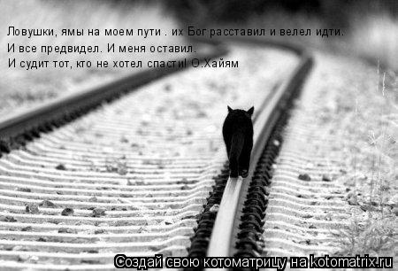 Котоматрица: Ловушки, ямы на моем пути – их Бог расставил и велел идти. И все предвидел. И меня оставил.  И судит тот, кто не хотел спасти! О.Хайям