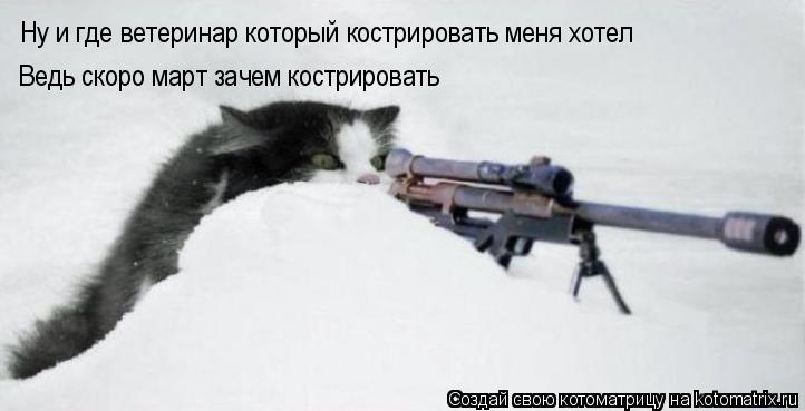 Котоматрица: Ну и где ветеринар который кострировать меня хотел Ведь скоро март зачем кострировать