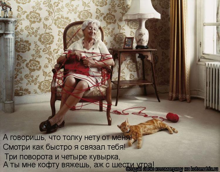 Котоматрица: А говоришь, что толку нету от меня! Смотри как быстро я связал тебя! Три поворота и четыре кувырка, А ты мне кофту вяжешь, аж с шести утра!