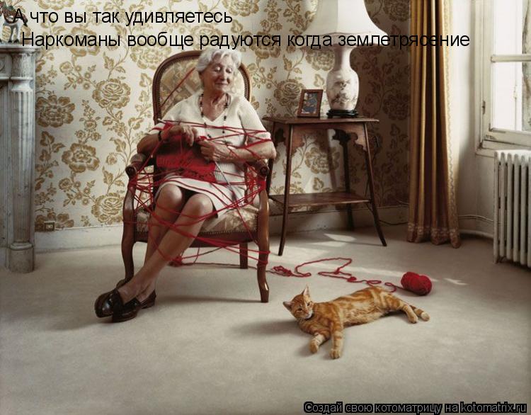 Котоматрица: А что вы так удивляетесь  Наркоманы вообще радуются когда землетрясение