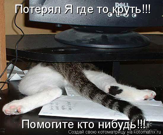 Потерял Я где то круть!!! Помогите кто нибудь!!!... Котоматрица: Потерял Я где то круть!!! Помогите кто нибудь!!!