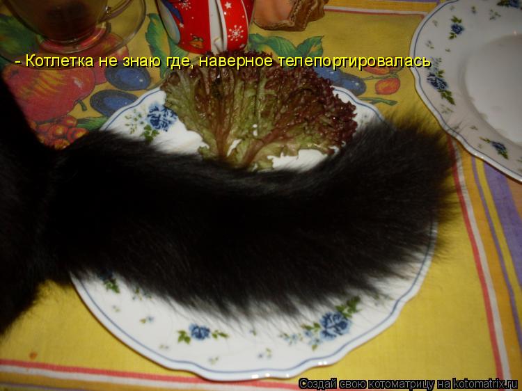 - Котлетка не знаю где, наверное телепортировалась... Котоматрица: - Котлетка не знаю где, наверное телепортировалась