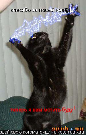 спасибо за новый ковёр! теперь я вам мстить буду !... Котоматрица: спасибо за новый ковёр! теперь я вам мстить буду !