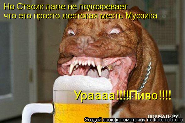 Ураааа!!!!Пиво!!!! Но Стасик даже не подозревает что ето просто жестокая месть Мурзика... Котоматрица: Ураааа!!!!Пиво!!!! Но Стасик даже не подозревает что ето просто жестокая месть Мурзика