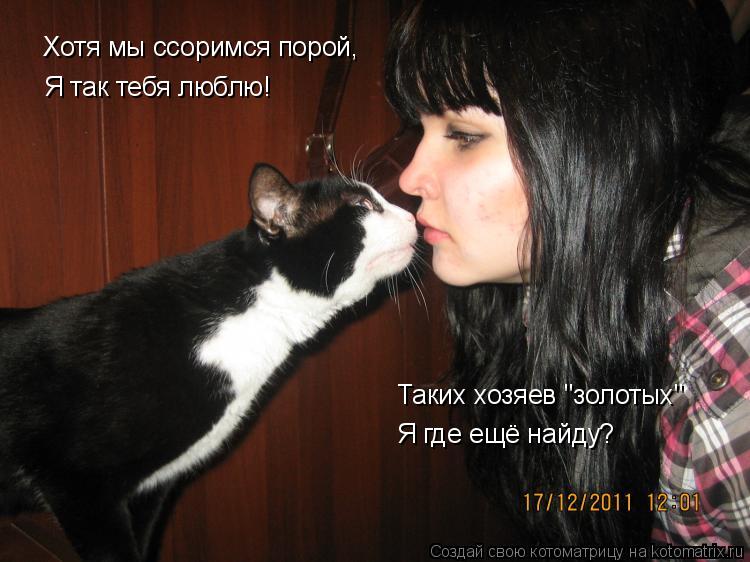Хотя мы ссоримся порой, Я так тебя люблю! Таких хозяев "золотых" Я где ещё найду?... Котоматрица: Хотя мы ссоримся порой, Я так тебя люблю! Таких хозяев "золотых" Я где ещё найду?