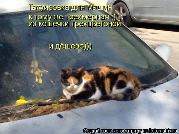 Татуировка для машин к тому же трехмерная ;) из кошечки трехцветоной и дёшево)))... Котоматрица: Татуировка для машин к тому же трехмерная ;) из кошечки трехцветоной и дёшево)))