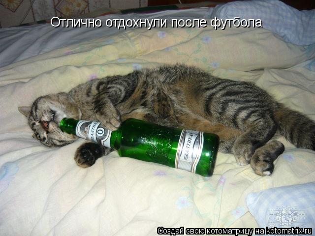 Отлично отдохнули после футбола... Котоматрица: Отлично отдохнули после футбола